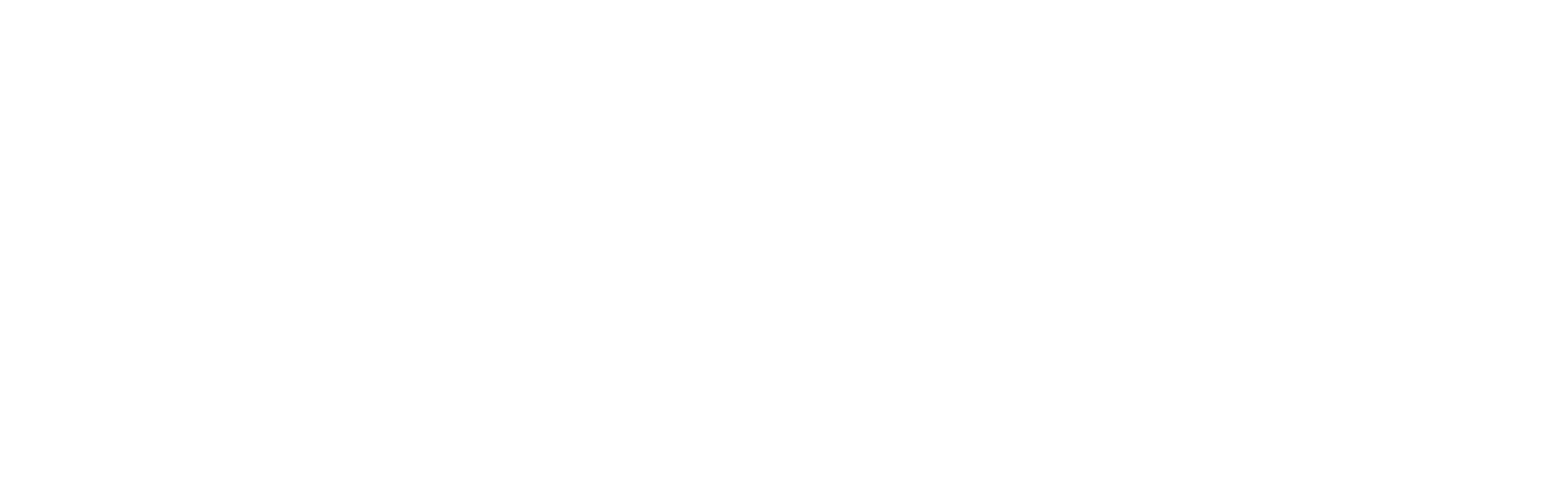 primus home care logo